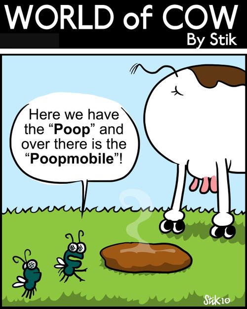 Here we have the 'Poop' and over there is the 'Poopmobile'!