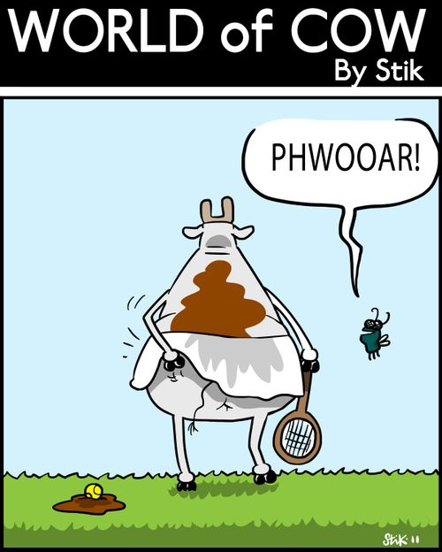 Cow Tennis Players