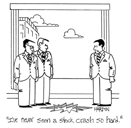 'I've never seen a stock crash so hard.'