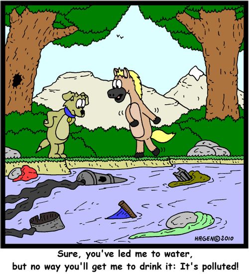 'Sure, you've led me to water, but no way you'll get me to drink it: It's polluted!'