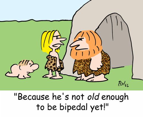 'Because he's not OLD enough to be bipedal yet!'