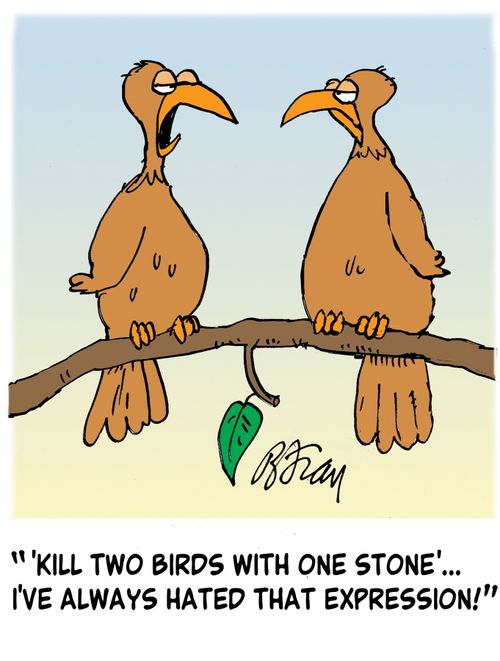 ' 'Kill two birds with one stone'...I've always hated that expression!'