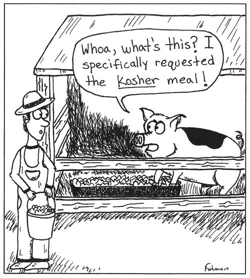 'Whoa, what's this? I specifically requested the Kosher mean.'