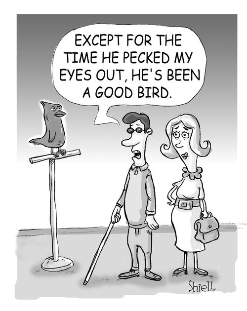 'Except for the time he pecked my eyes out he's been a good bird' 