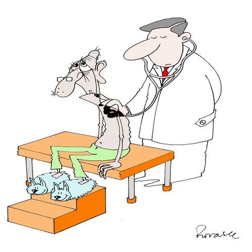 Doctor.