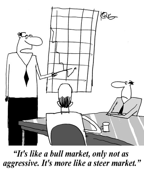 'It's like a bull market, only not as aggressive. It's more like a steer market.'