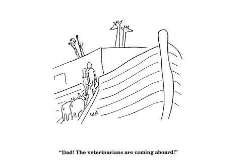 'Dad! The veterinarians are coming aboard!'