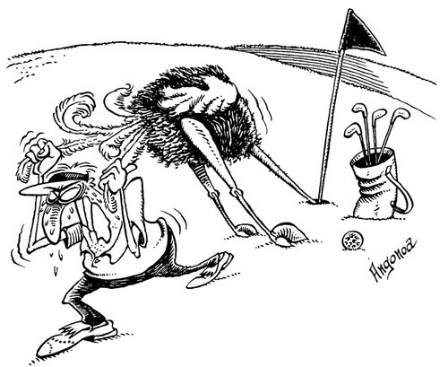 Ostrich burrying his head in the golf course.