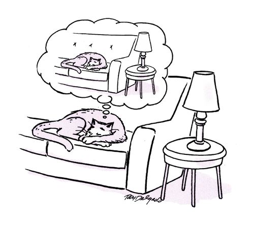 Cat Dreams.