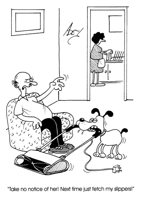 'Take no notice of her! Next time just fetch my slippers!'