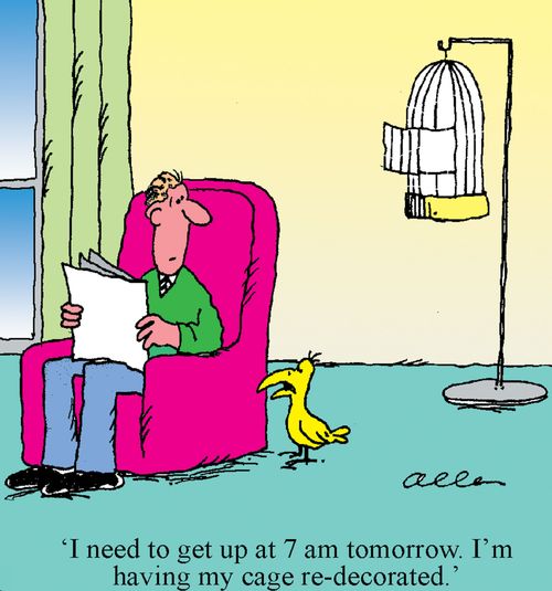 'I need to get up at 7 am tomorrow. I'm having my cage re-decorated.'