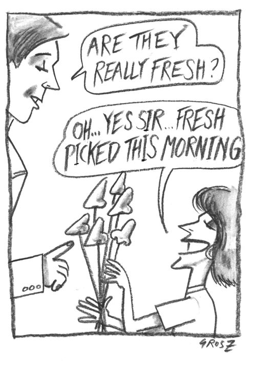 "Are they really fresh?"