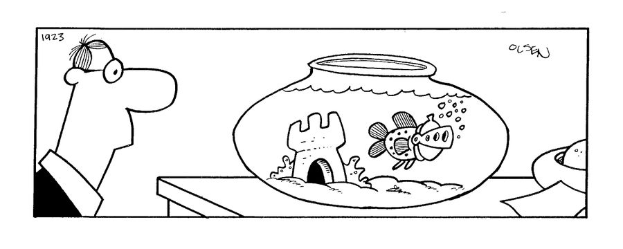 Goldfish in Armour