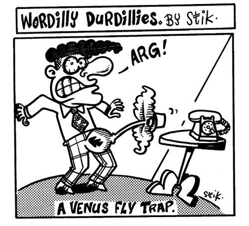 Wordilly Durdillies - A Venus Fly Trap