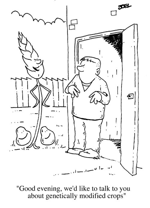 "Good evening we would like to talk to you about genetically modified crops."