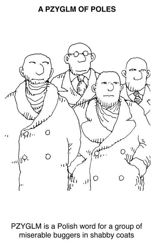 A pzyglm of Poles - (Pzyglm is a Polish word for a group of miserable buggers in shabby coats)