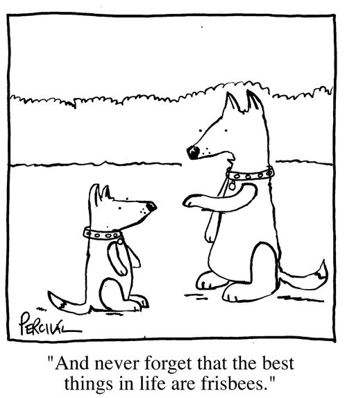 "And never forget that the best things in life are Frisbees."