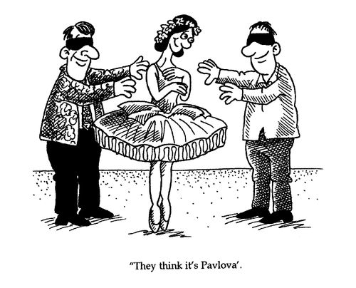 'They think it's Pavlova.'