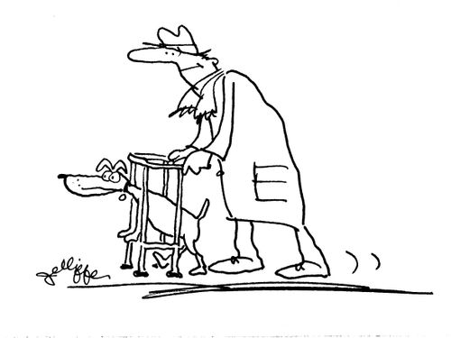 Zimmer frame for both dog and owner.