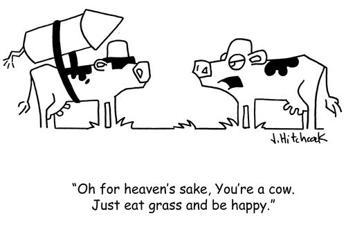 'Oh for heaven's sake, you're a cow. Just eat grass and be happy.'