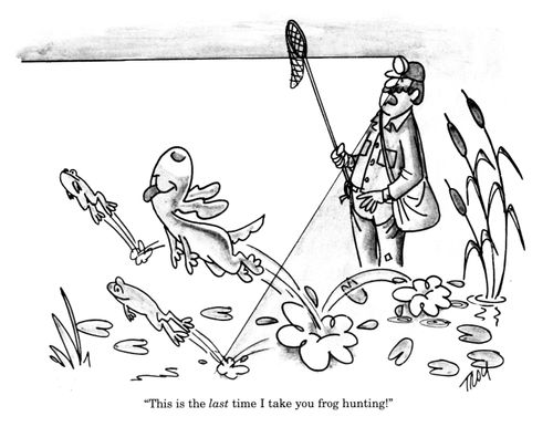 'This is the last time I take you frog hunting!'