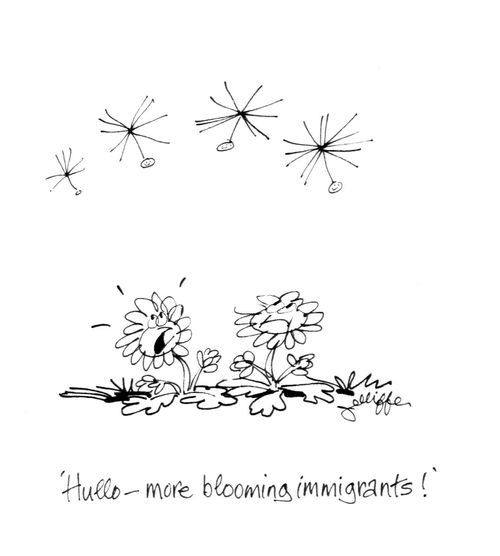 'Hullo - more blooming immigrants!'