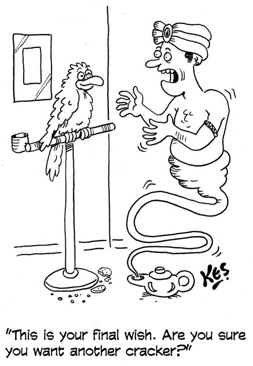 'This is your final wish. Are you sure you want another cracker?'