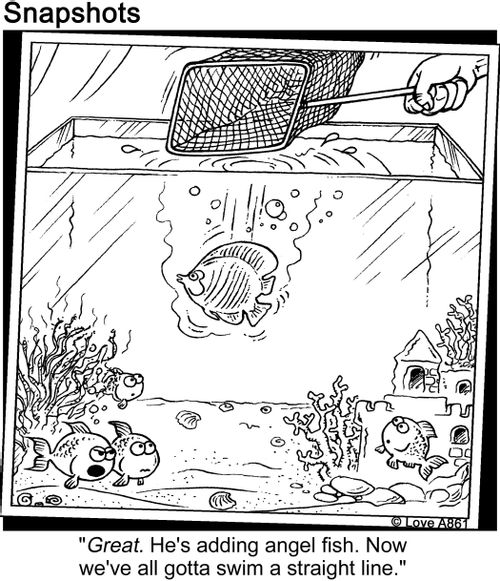 'Great. He's adding angel fish. Now we've all gotta swim a straight line.'