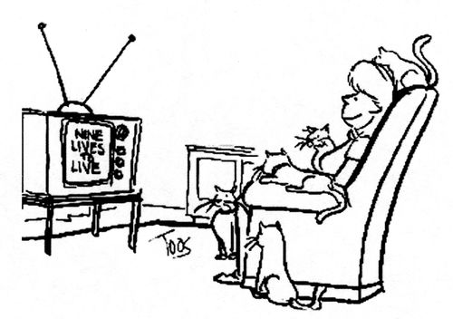 Woman and cats watching Nine Lives to Live.