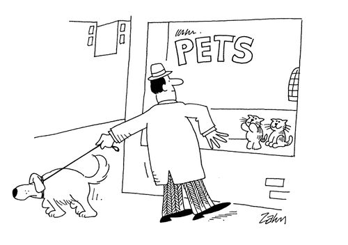 Pet store - dog dragging owner away from cute kittens.