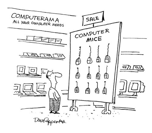 Computer Mice Pinned Up on Wall.