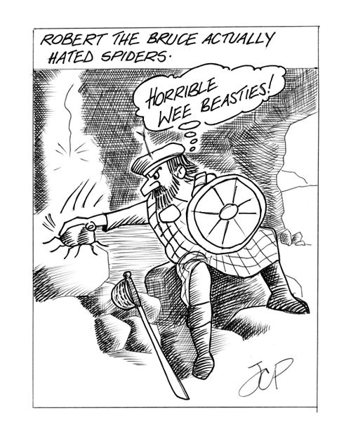 Robert the Bruce actually hated spiders.