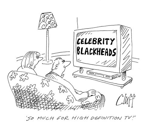 'So much for high definition TV!'