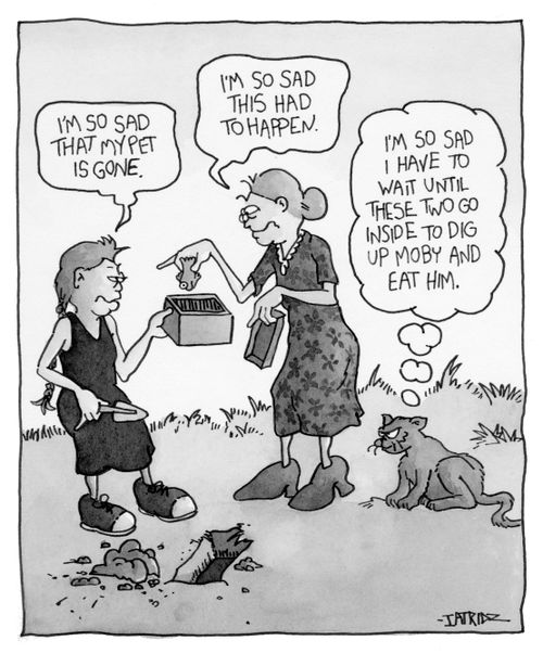 Dearly departed pet fish.