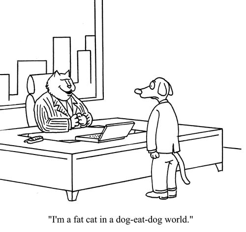 'I'm a fat cat in a dog-eat-dog world.'