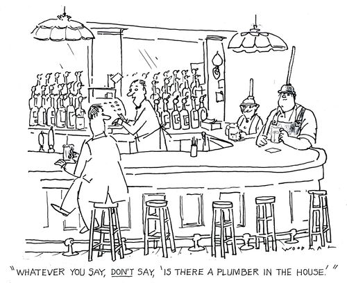 'Whatever you say, don't say 'Is there a plumber in the house'.' 
