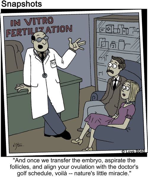 'And once we transfer the embryo, aspirate the follicles, and align your ovulation with the doctor's gold schedule, voila -- natures little miracle.'