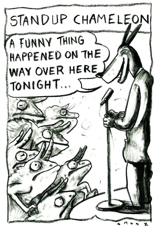 Stand Up Chameleon 