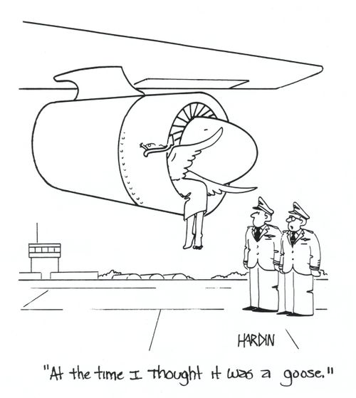 "At the time I thought it was a goose."