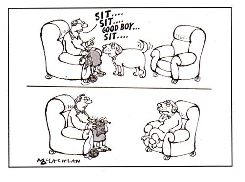 Dog Training.