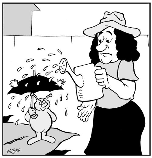 Woman watering garden with watering can. Bug with umbrella up.