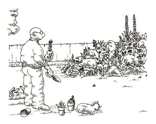 101 uses of a dead cat: flower bed ornaments.