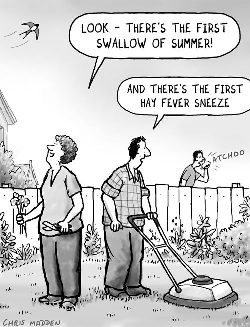 'Look - there's the first swallow of summer.'