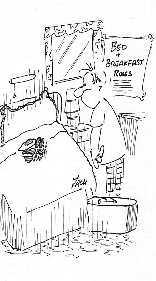 Bed and breakfast.