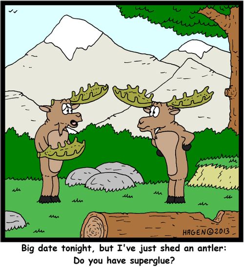 'Big date tonight, but I've just shed an antler: Do you have superglue?'