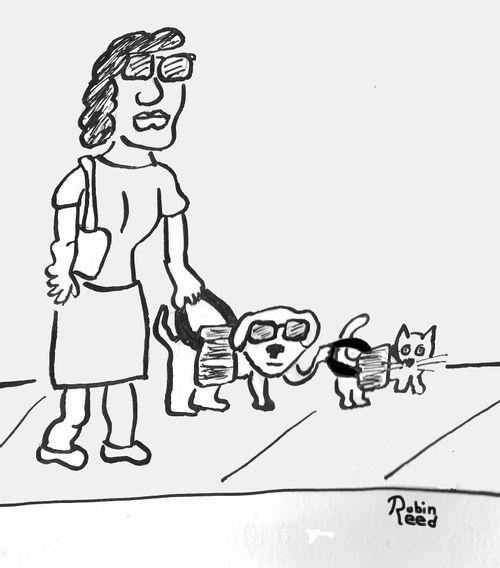 Blind woman, blind dog, seeing eye cat.