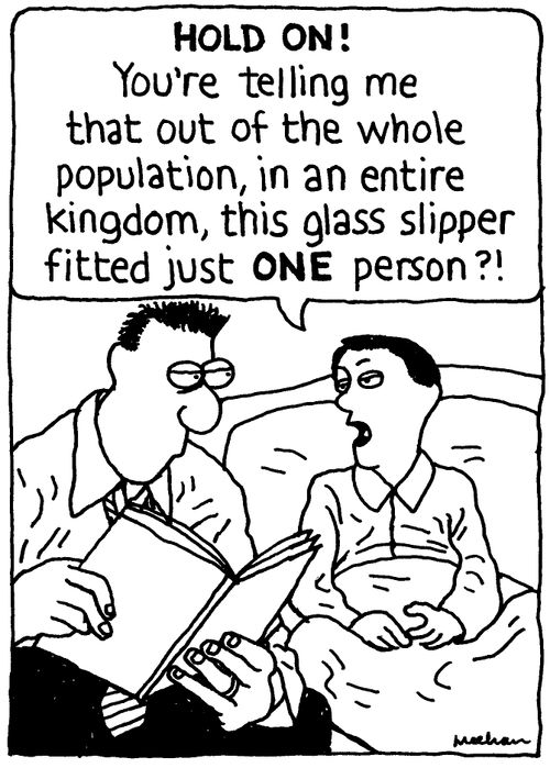'HOLD ON! You're telling me that out of the whole population, in an entire kingdom, this glass slipper fitted just ONE person?!'