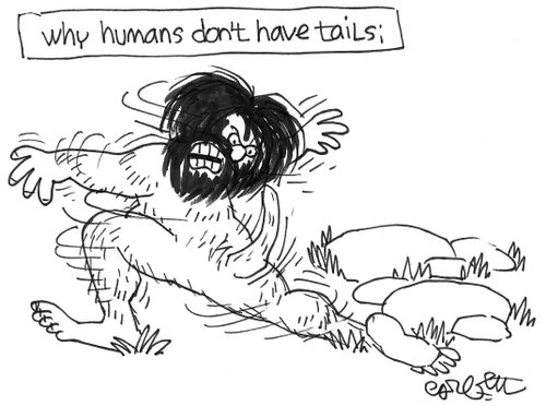 Why humans don't have tails.