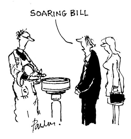 SOARING BILL