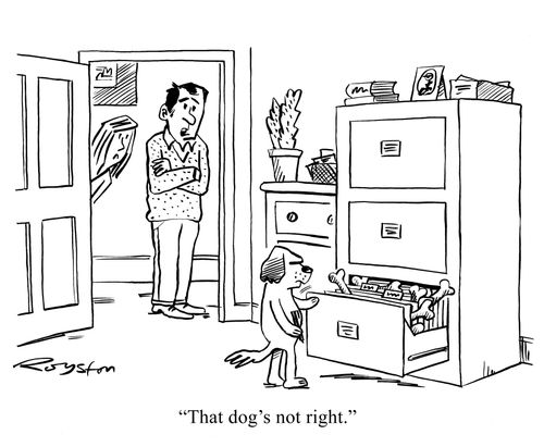 Dog puts bones in filing cabinet instead of burying them. Man says: 'That dog's not right.'